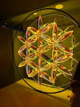 NARA KINGYO MUSEUMに投稿された画像（2025/8/15）