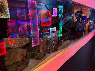 NARA KINGYO MUSEUMに投稿された画像（2025/8/15）