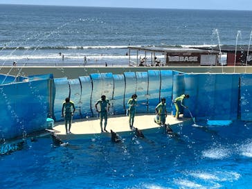 新江ノ島水族館に投稿された画像（2025/8/15）