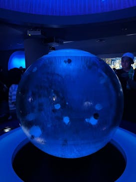 新江ノ島水族館に投稿された画像（2025/8/15）