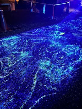 NAKED meets 二条城 2025 観月に投稿された画像（2025/8/15）