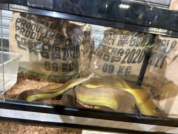 NARA IKIMONO MUSEUMに投稿された画像（2025/8/15）