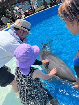 南知多ビーチランド＆南知多おもちゃ王国に投稿された画像（2025/8/15）