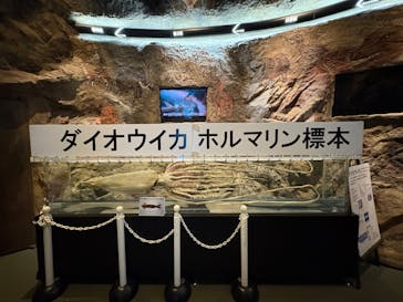 島根県立 しまね海洋館に投稿された画像（2025/8/15）