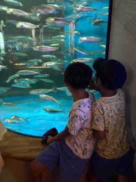 島根県立 しまね海洋館に投稿された画像（2025/8/15）