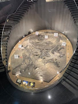 福井県立恐竜博物館に投稿された画像（2025/8/15）