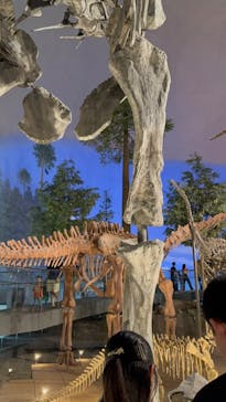 福井県立恐竜博物館に投稿された画像（2025/8/15）