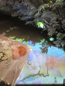 浅草花やしきに投稿された画像（2025/8/15）