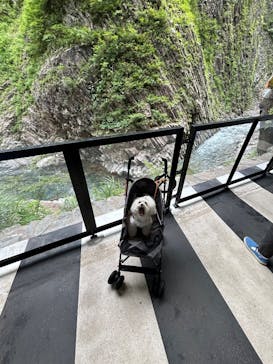 清津峡渓谷トンネルに投稿された画像（2025/8/15）