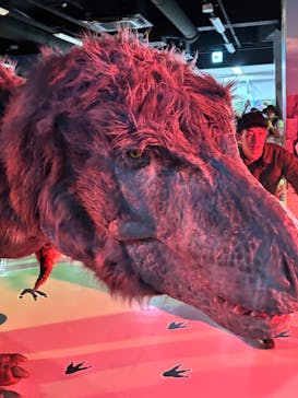 最強王図鑑フェスティバル in 東京タワーに投稿された画像（2025/8/15）