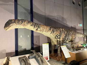 巨大恐竜展2025に投稿された画像（2025/8/15）