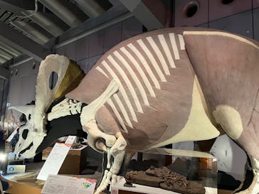 巨大恐竜展2025に投稿された画像（2025/8/15）