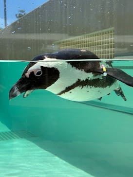 マリンワールド海の中道に投稿された画像（2025/8/15）