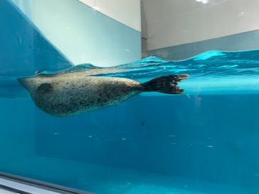 マリンワールド海の中道に投稿された画像（2025/8/15）