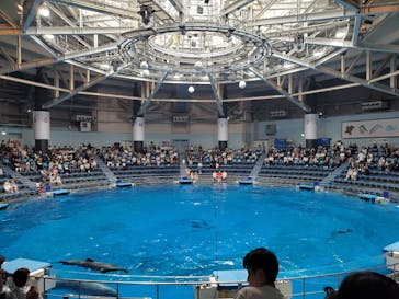 マクセル アクアパーク品川に投稿された画像（2025/8/15）