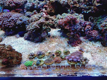 マクセル アクアパーク品川に投稿された画像（2025/8/15）