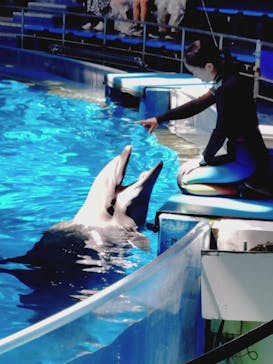 マクセル アクアパーク品川に投稿された画像（2025/8/15）