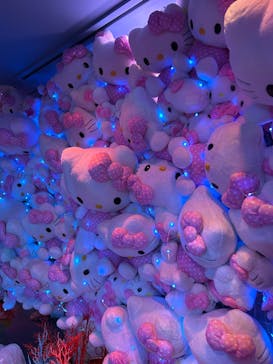 HELLO KITTY SHOW BOX（ハローキティショーボックス）に投稿された画像（2025/8/15）