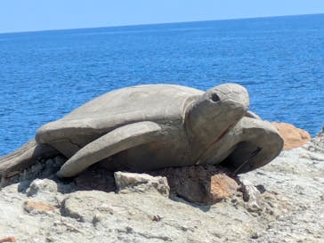 城崎マリンワールドに投稿された画像（2025/8/15）