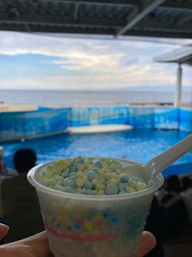 新江ノ島水族館に投稿された画像（2025/8/15）