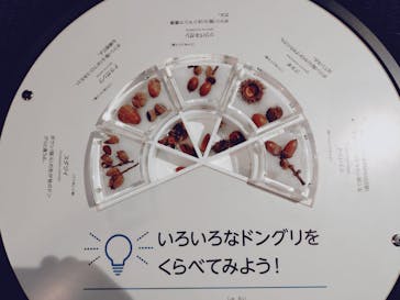 滋賀県立琵琶湖博物館に投稿された画像（2025/8/15）