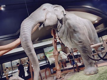 滋賀県立琵琶湖博物館に投稿された画像（2025/8/15）