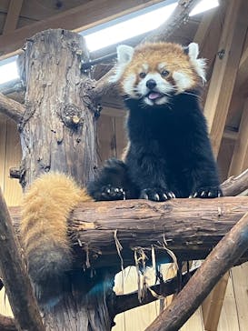 伊豆シャボテン動物公園に投稿された画像（2025/8/15）