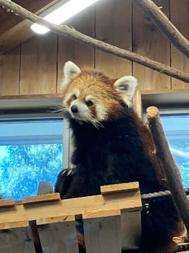 伊豆シャボテン動物公園に投稿された画像（2025/8/15）