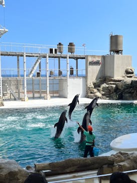 城崎マリンワールドに投稿された画像（2025/8/15）