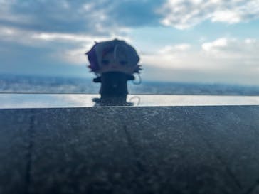 横浜ランドマークタワー 69階展望フロア スカイガーデンに投稿された画像（2025/8/15）