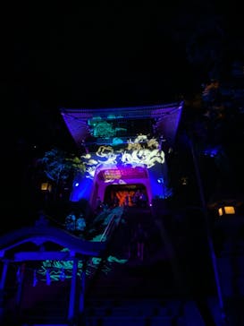 江の島シーキャンドルに投稿された画像（2025/8/15）