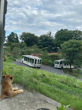 東京動物園協会_多摩動物公園に投稿された画像（2025/8/15）