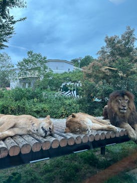 東京動物園協会_多摩動物公園に投稿された画像（2025/8/15）