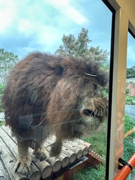 東京動物園協会_多摩動物公園に投稿された画像（2025/8/15）
