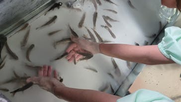 熱川バナナワニ園に投稿された画像（2025/8/15）