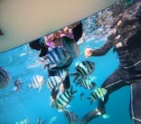 青の洞窟専門店　沖縄ダイビングショップ和に投稿された画像（2025/8/15）