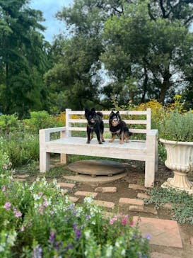 ムーミンバレーパークに投稿された画像（2025/8/15）