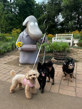 ムーミンバレーパークに投稿された画像（2025/8/15）