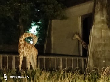 名古屋市東山動植物園に投稿された画像（2025/8/15）