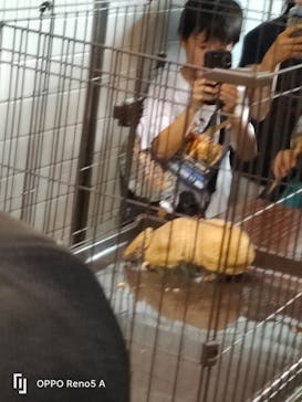 名古屋市東山動植物園に投稿された画像（2025/8/15）