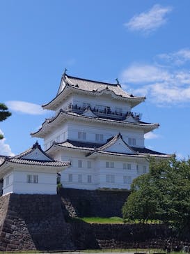 小田原城に投稿された画像（2025/8/15）