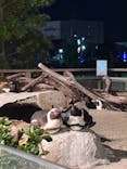 仙台うみの杜水族館に投稿された画像（2025/8/15）