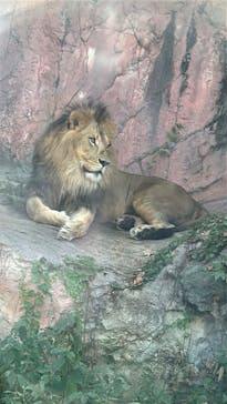 名古屋市東山動植物園に投稿された画像（2025/8/15）