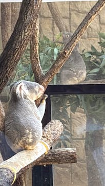 名古屋市東山動植物園に投稿された画像（2025/8/15）