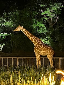 名古屋市東山動植物園に投稿された画像（2025/8/15）