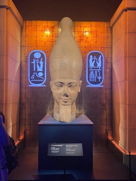 ACN ラムセス大王展 ファラオたちの黄金に投稿された画像（2025/8/15）