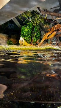 サンシャイン水族館に投稿された画像（2025/8/15）