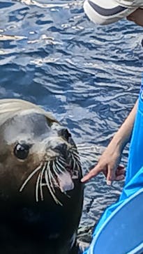 伊豆・三津シーパラダイスに投稿された画像（2025/8/15）