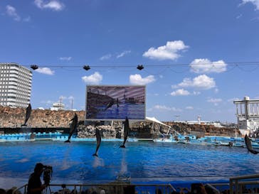 名古屋港水族館に投稿された画像（2025/8/15）