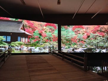 特別展「江戸☆大奥」に投稿された画像（2025/8/15）